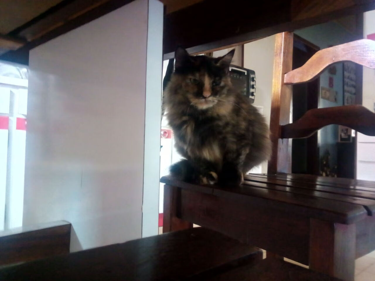 爱游戏中国-电竞主题文创产品广受欢迎,产业融合迈上新台阶,电竞文化产品的发展前景