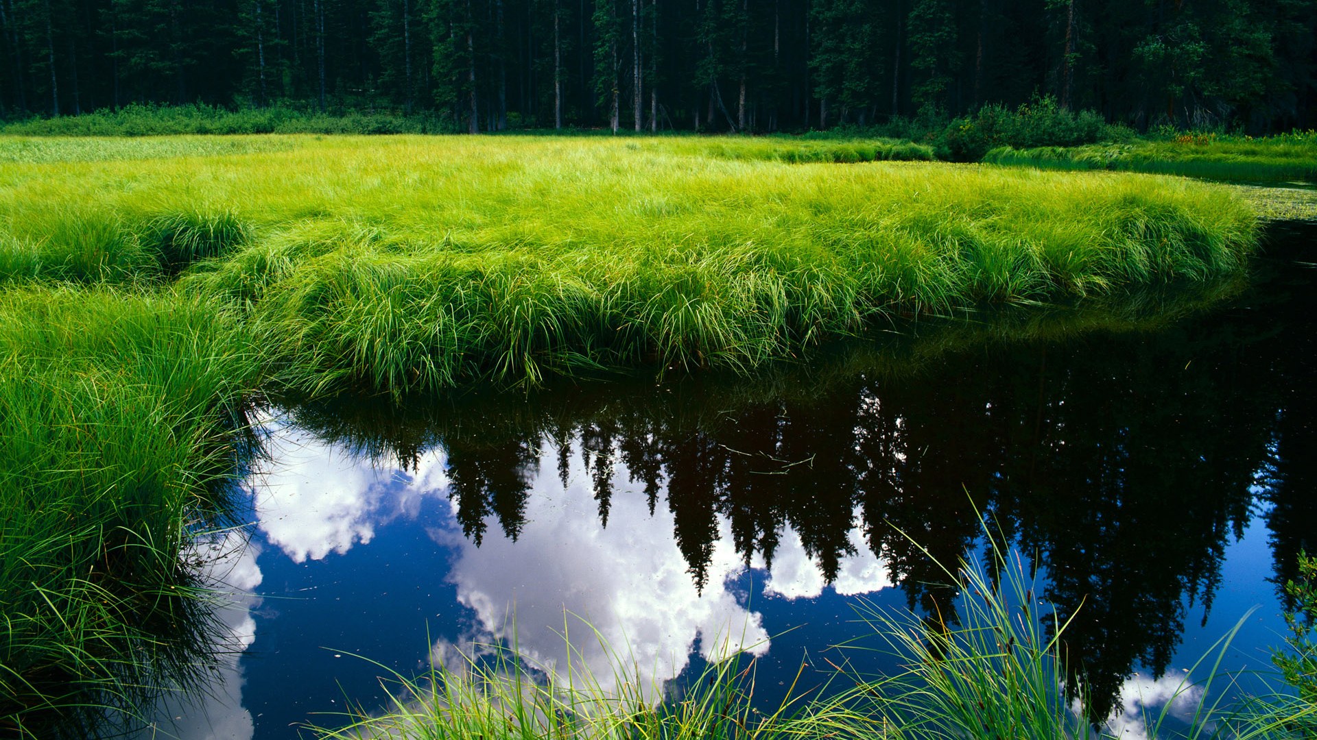 爱游戏中国-中国女足获得胜利 喜迎佳音 创造历史，中国女足的成绩