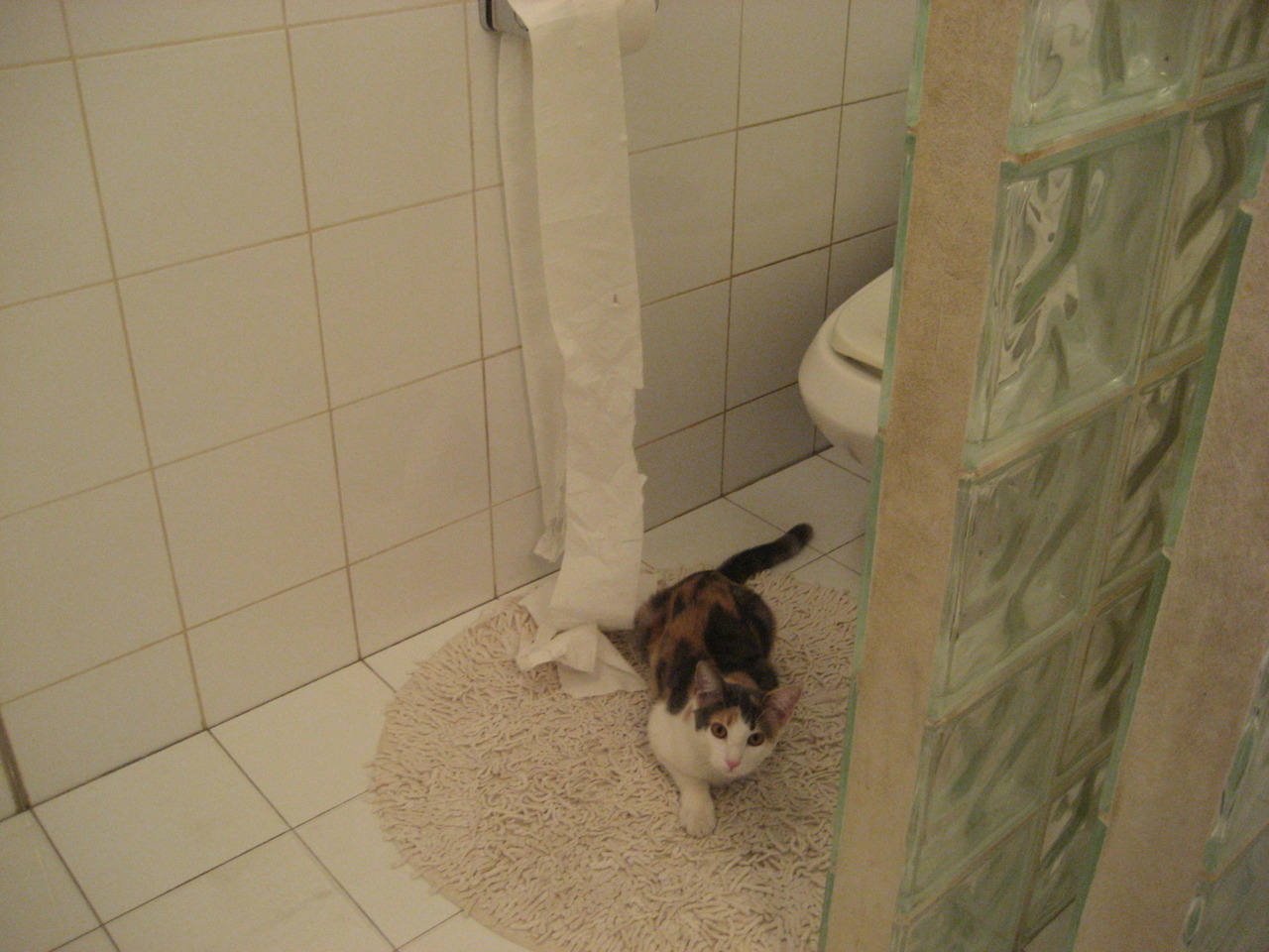 爱游戏下载-莱比锡红牛主帅寻找解决方案改变球队不利局面，莱比锡红牛现任主帅