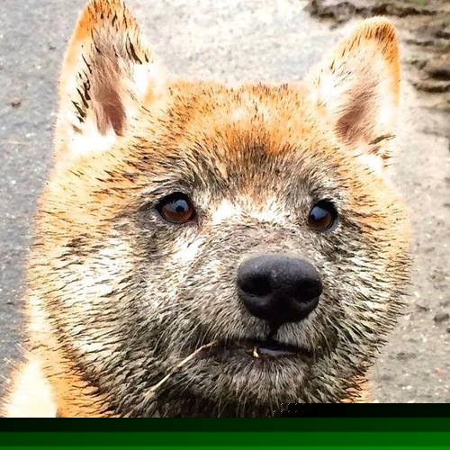 爱游戏APP-高校运动技能等级评定管理制度构建,运动技能考评员有什么用