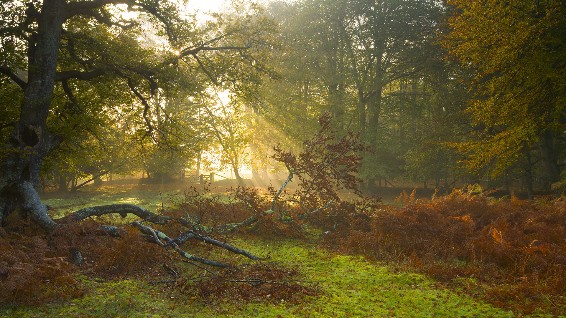 爱游戏多端接入-中国香港队在国际乒联混合团体世界杯中的表现让人刮目相看，乒乓球香港队和国乒什么关系