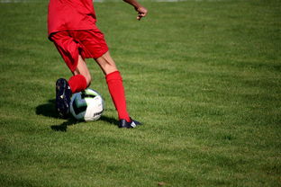 AYX爱游戏中国-体育新闻中心发布体育赛事AI辅助裁判系统,ai裁判 体操